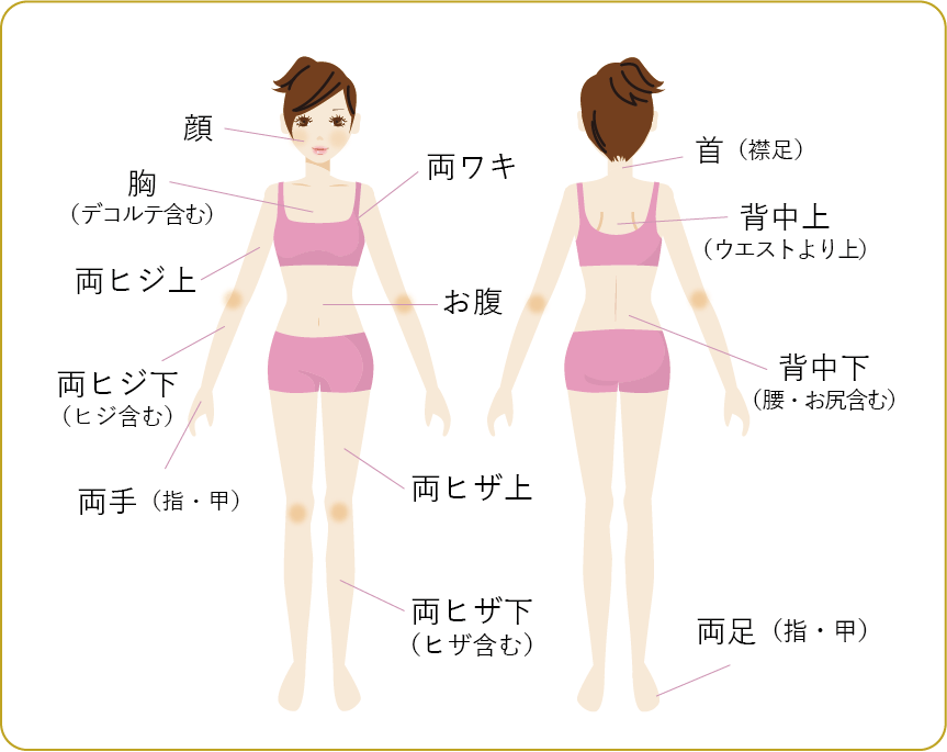 施術ヶ所